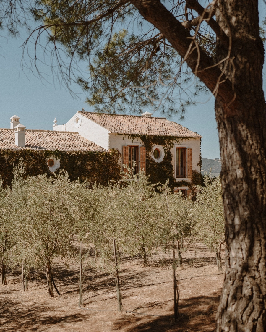 Ronda location wedding